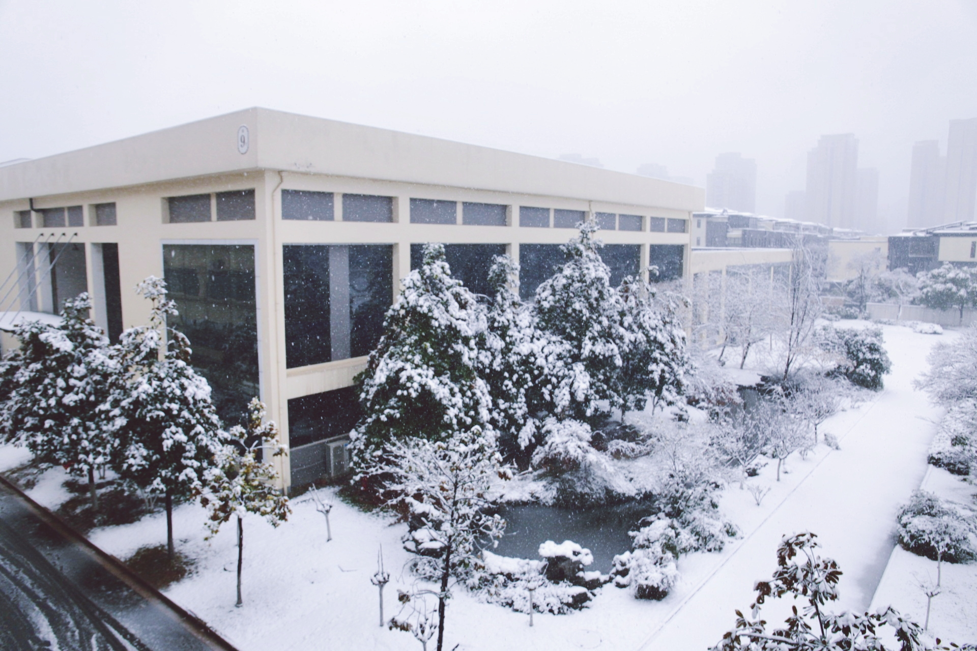 4校园雪景.jpg